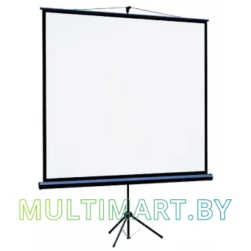 Проекционный экран Lumien Eco View 153x153 (LEV-100106)